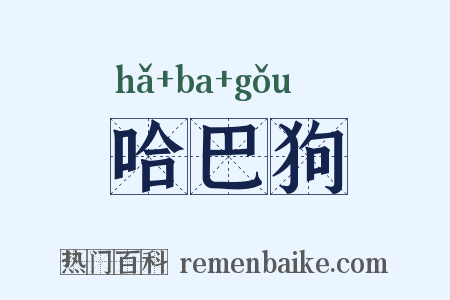 哈巴狗是什么意思的图片
